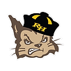 1611765_4e0008caaeea45ecab3c9bdd43cf9390.png